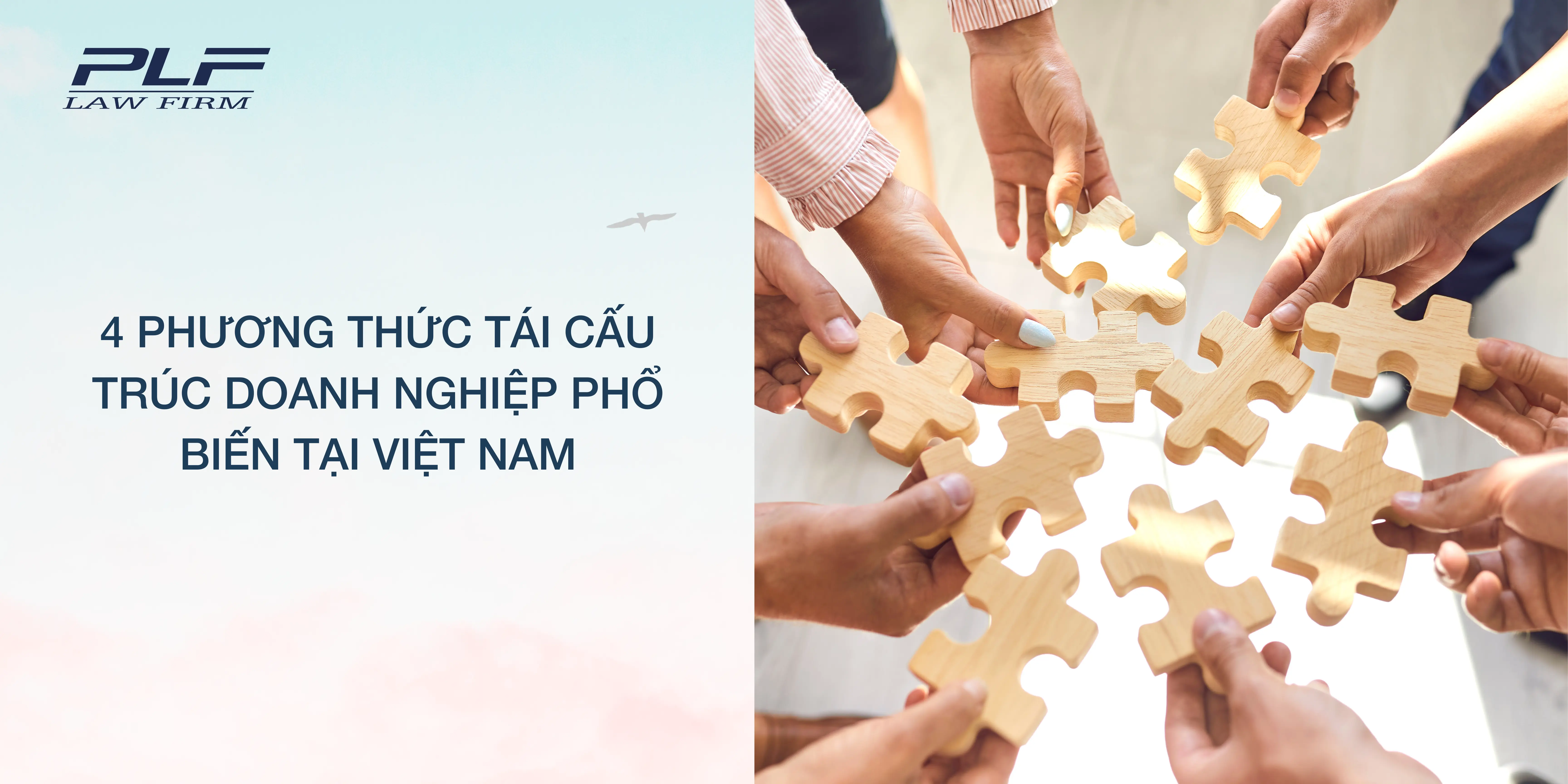 4 phương thức tái cấu trúc doanh nghiệp phổ biến tại Việt Nam