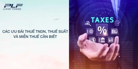 Plf Cac Uu Dai Thue Tndn Thue Suat Va Mien Thue Can Biet