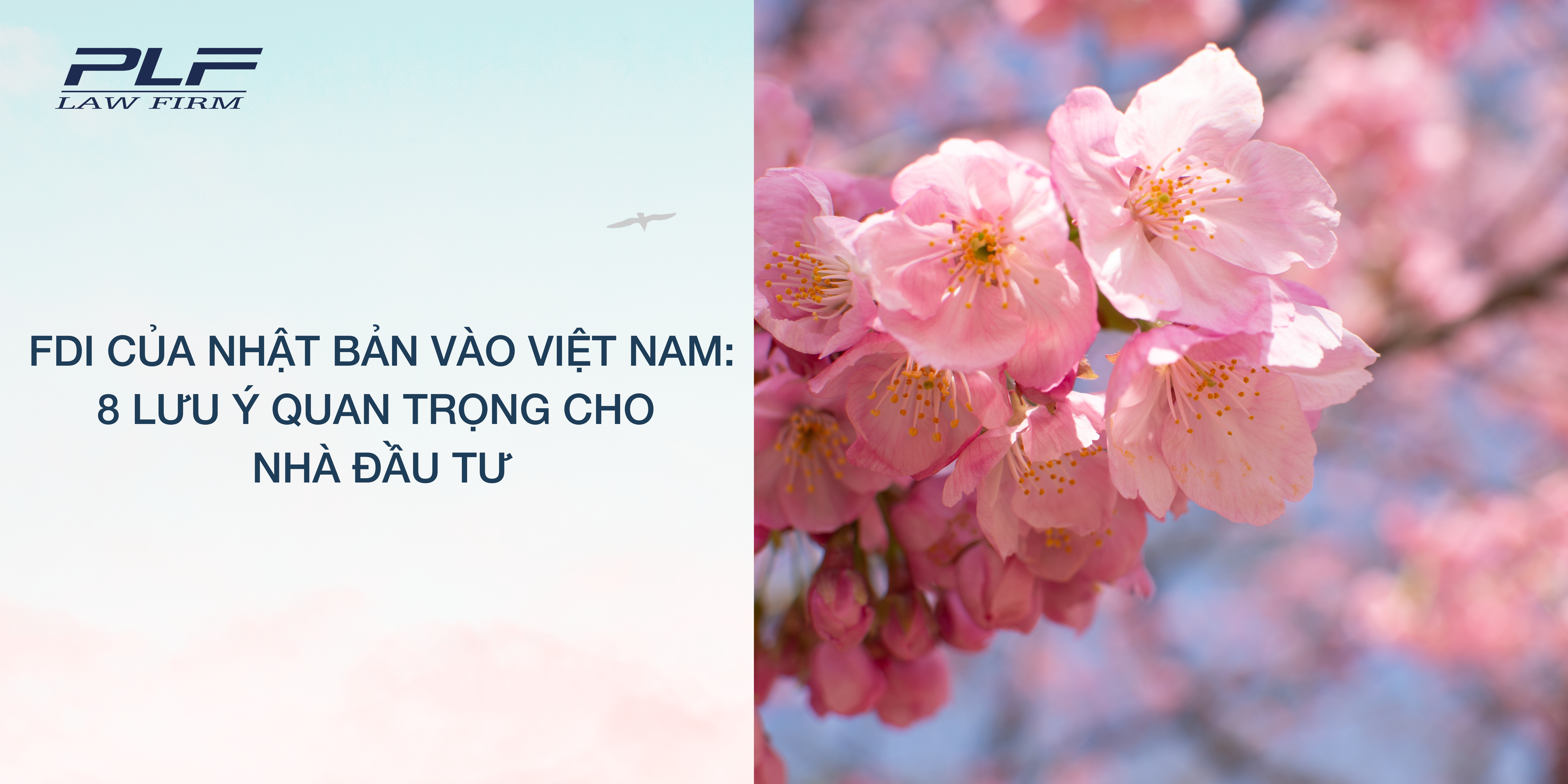 FDI của Nhật Bản vào Việt Nam 8 lưu ý quan trọng cho nhà đầu tư