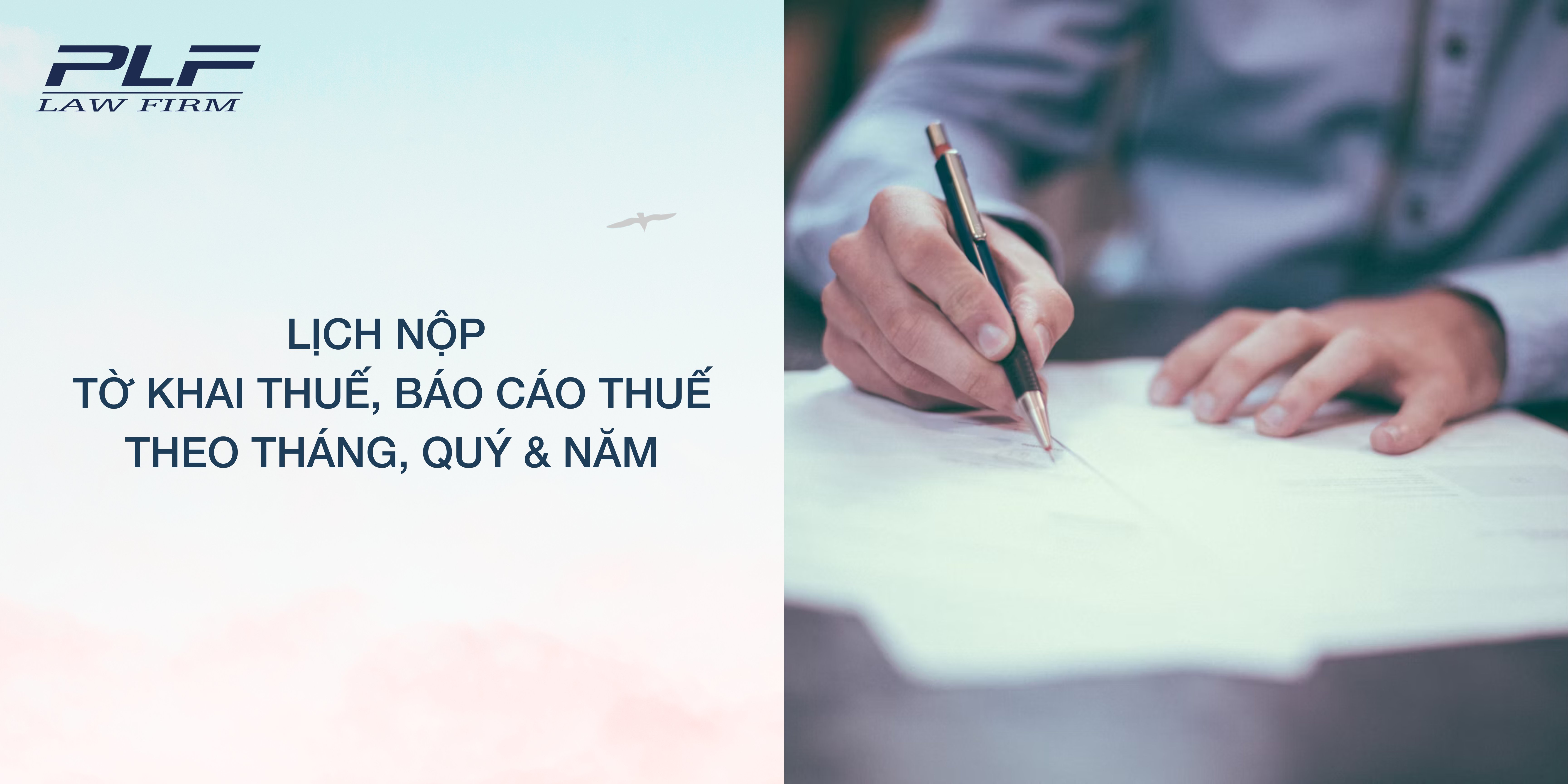 Plf Ho So Va Lich Nop To Khai Thue Hang Thang Quy Nam Cho Doanh Nghiep Tai Viet Nam
