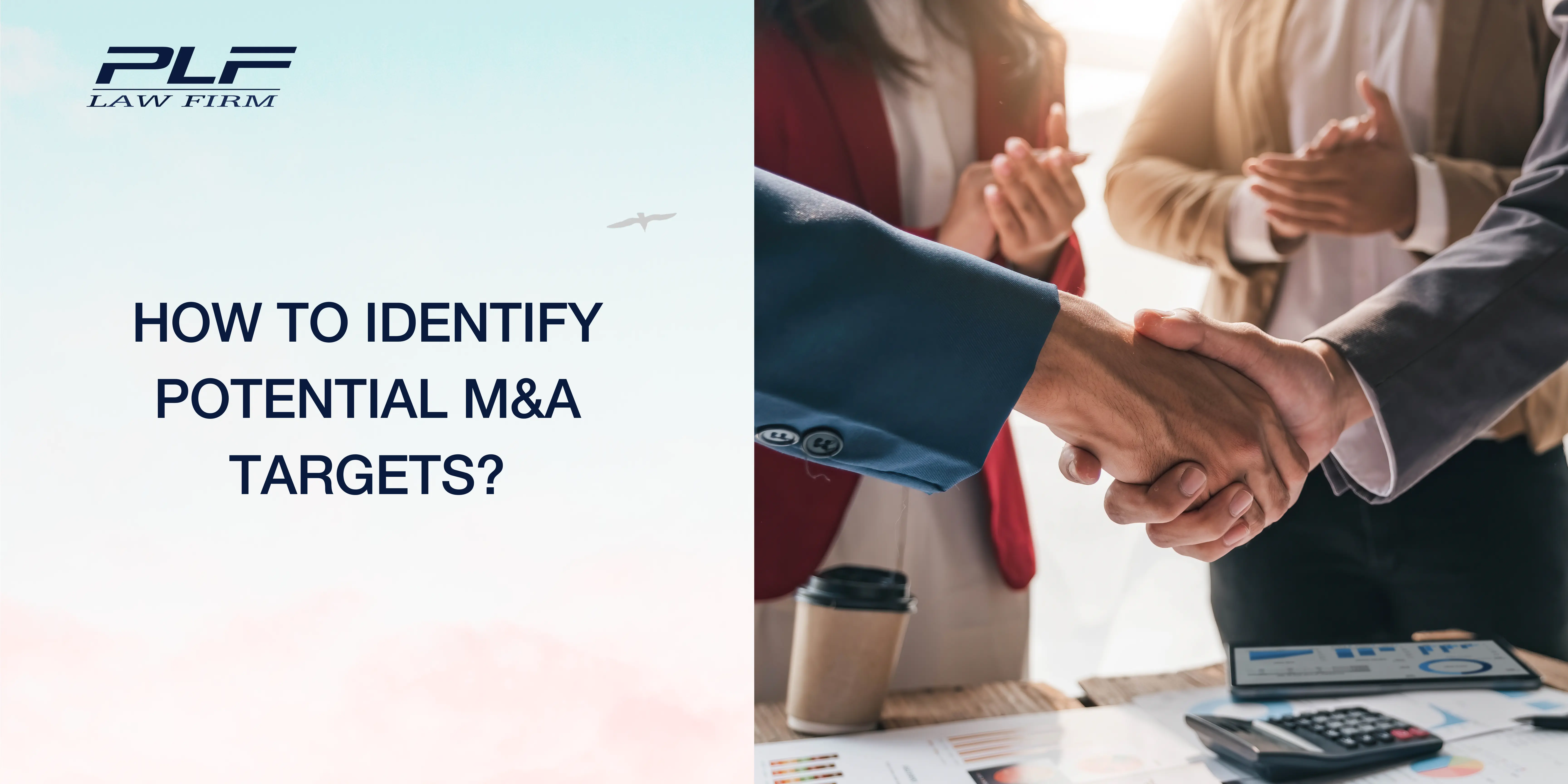 PLF Law Firm-Mergers & Acquisitions-How to identify potential M&A targets